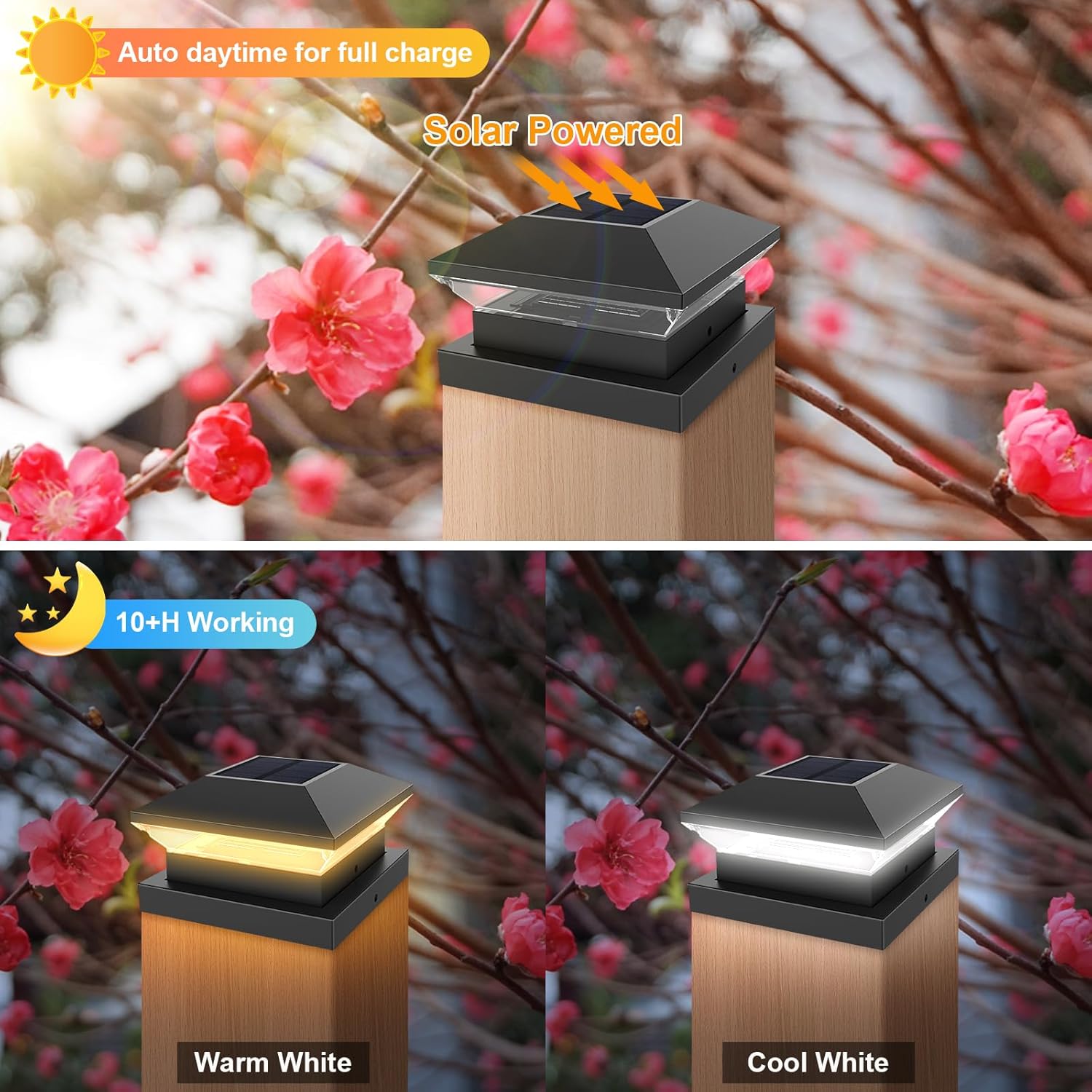 Solar Post Light Post Caps Sol - đánh giá và giá Post Cap Light